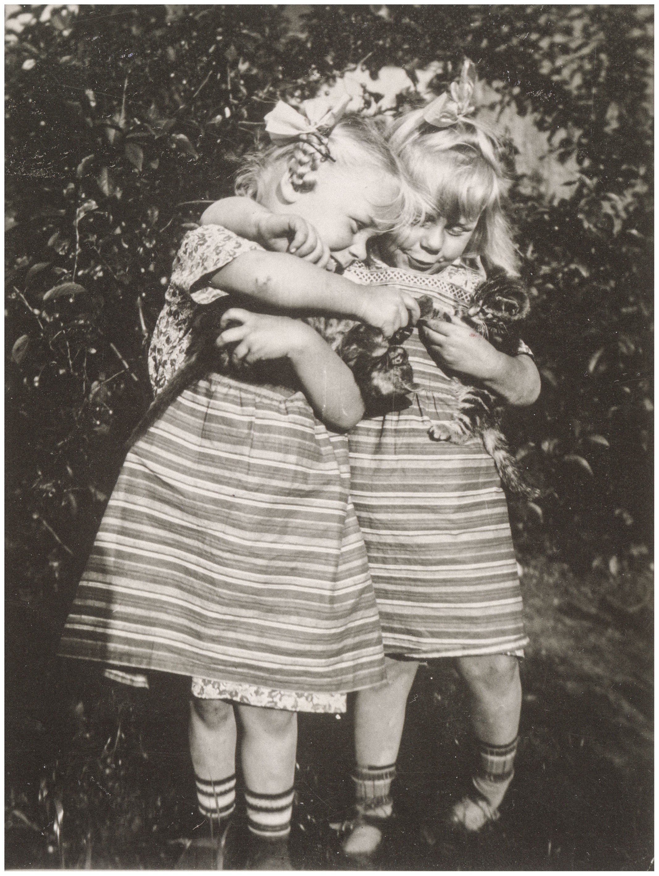 This black-and-white photograph shows two young girls in a garden, embracing closely as they gently hold a small tabby kitten in their hands. They are wearing similar light-colored striped dresses with dark socks and have light ribbons in their hair, while gazing lovingly down at the animal with bowed heads. In the background, the dark, blurred foliage of a bush or tree can be seen.